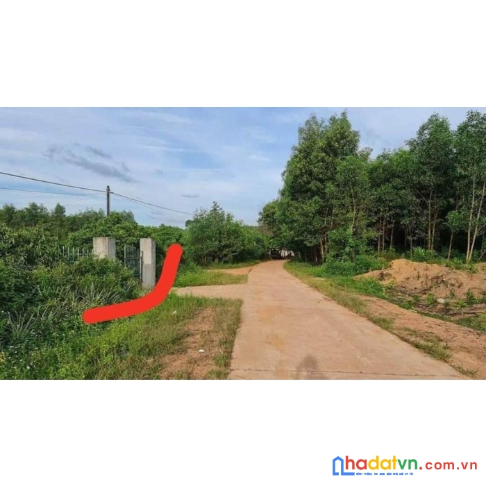 Sở hữu ngay lô đất vị trí đắc địa tại xã vĩnh sơn. huyện vinh linh, tỉnh quảng trị