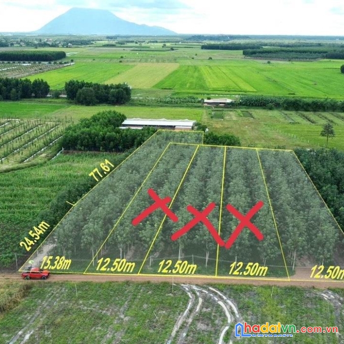 Bán gấp 3 lô đất mặt tiền vị trí đẹp tại ấp tân thanh, xã tân phú, huyện tân châu - tây ninh