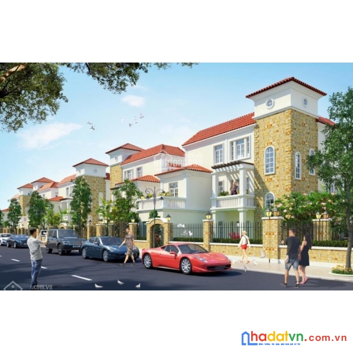 Tư vấn mua, bán biệt thự kđt nam an khánh, hoài đức sh 188m2 giá 16 tỷ 7