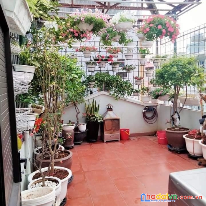 Hạ 500tr! cầu giấy, 2 thoáng siêu đẹp, ngõ ba gác phi, oto gần, 54m sổ, 4t, chỉ 5.3 tỷ còn tl
