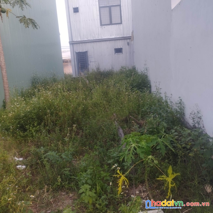 Bán đất sát mặt tiền trần cao vân,  64m2 = 2 ty 0 mấy chục