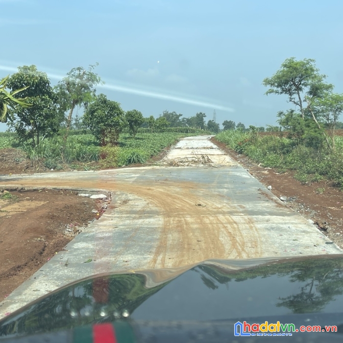 Bán mảnh vườn 1005m2 có thể lên thổ cư ngay khu dân cư hiện hữu