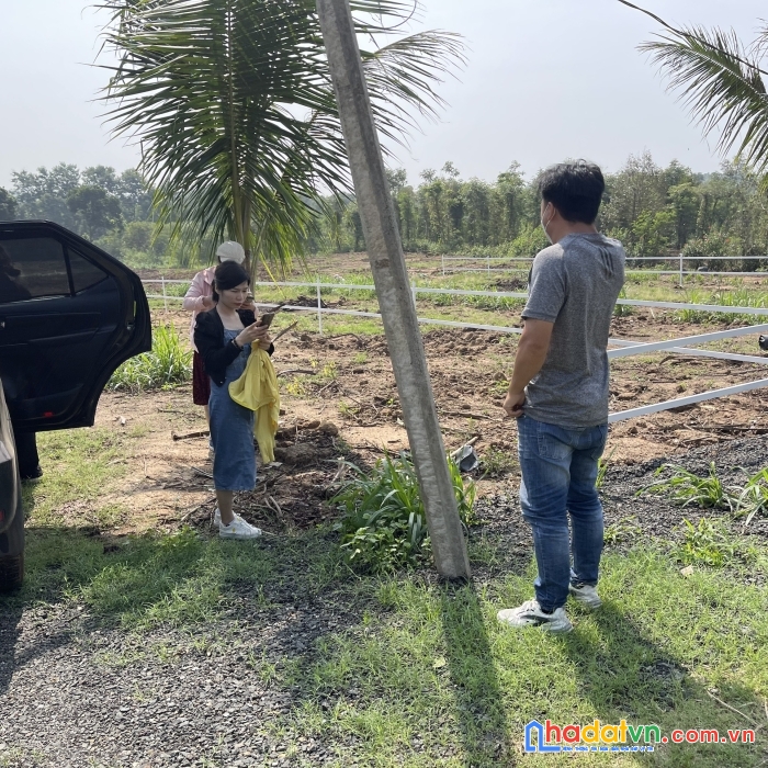 Bán mảnh vườn 1005m2 có thể lên thổ cư ngay khu dân cư hiện hữu