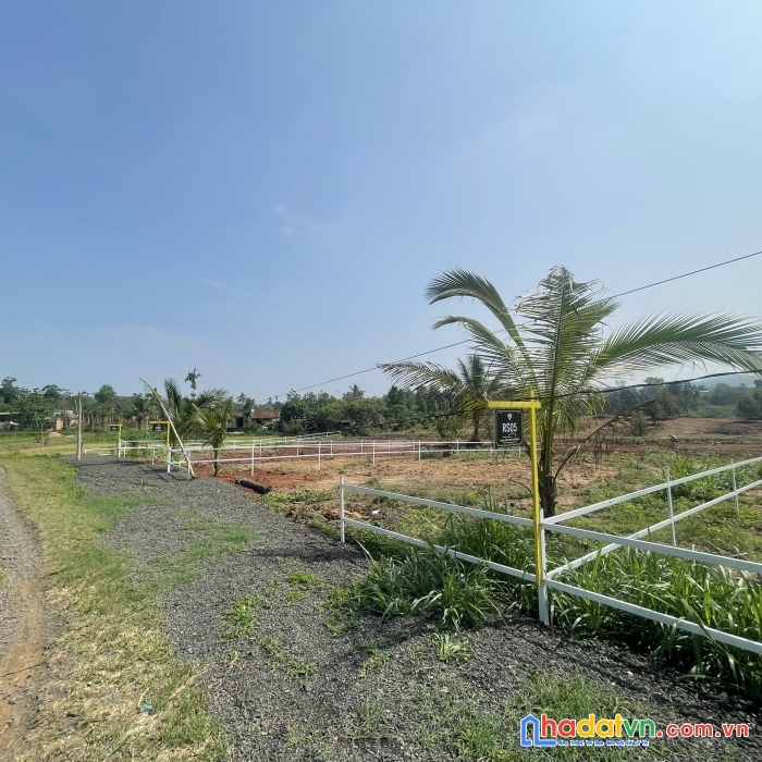 Bán mảnh vườn 1005m2 có thể lên thổ cư ngay khu dân cư hiện hữu