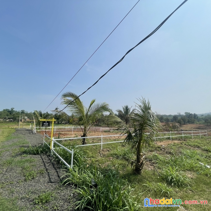 Bán mảnh vườn 1005m2 có thể lên thổ cư ngay khu dân cư hiện hữu