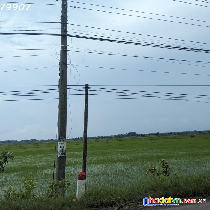 Bán lỗ 4330m2 giá rẻ bèo - sổ hồng riêng khu dân cư ở châu thành