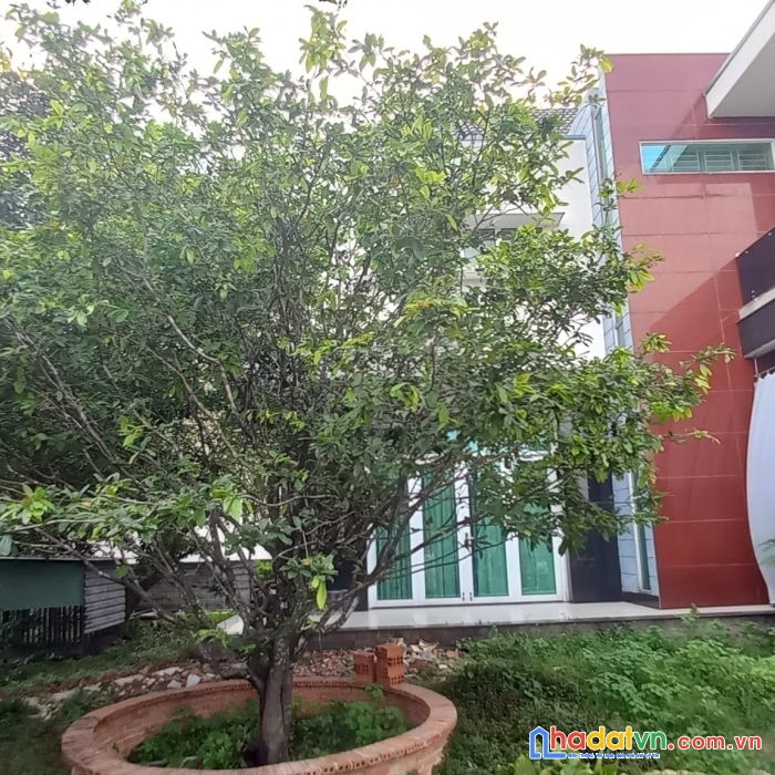 Bán đất tặng biệt thự giá rẻ tại bình dương.tt tp.thuận an giá chỉ 8tr.m2