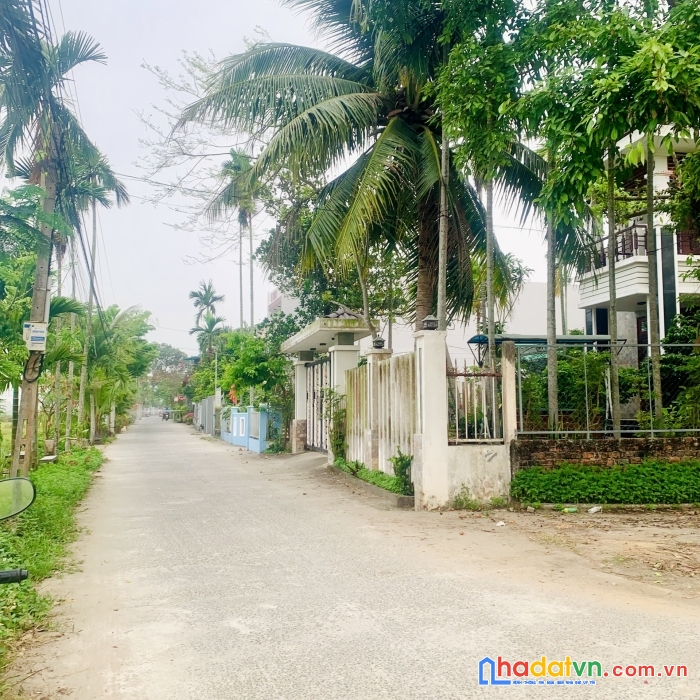 Lô đất hoà tiến 3,8 triệu m2 nhanh tay sở hữu