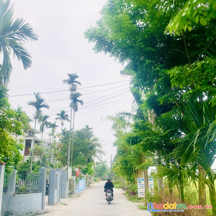 Lô đất hoà tiến 3,8 triệu m2 nhanh tay sở hữu