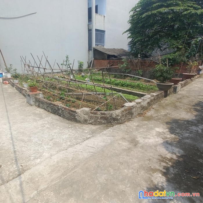 Chủ cần bán gấp 47.8m2 thố bảo vân trì, đường ô tô, 2 mặt thoáng, sát bìa, sát chợ vân trì, giá