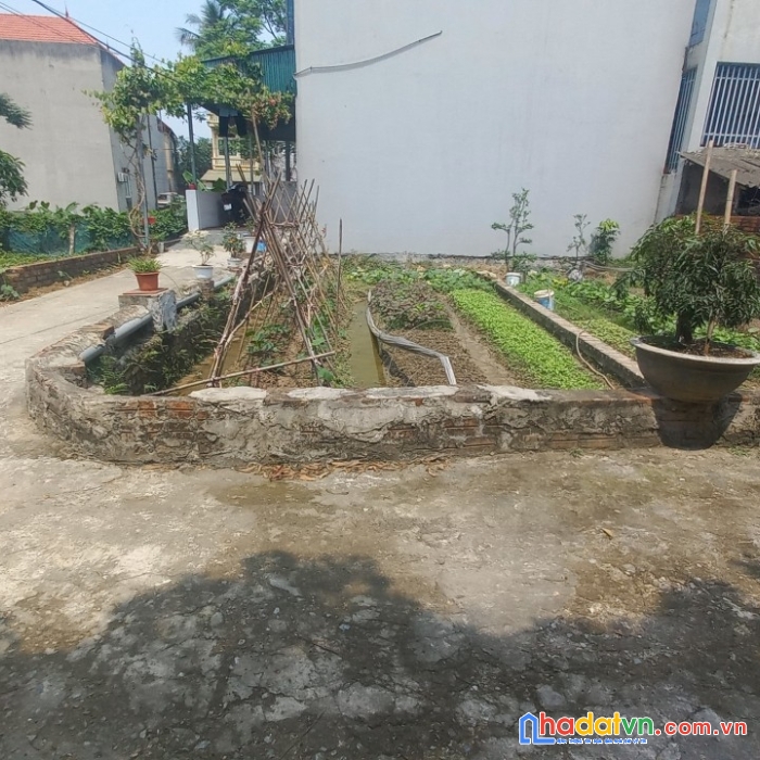 Chủ cần bán gấp 47.8m2 thố bảo vân trì, đường ô tô, 2 mặt thoáng, sát bìa, sát chợ vân trì, giá