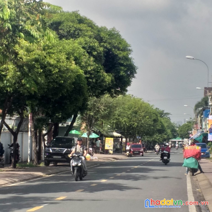 Nhà đẹp p bình thọ . lô góc. mới xây kinh doanh được. đủ công năng. giá rẻ chỉ hơn 6 tỷ