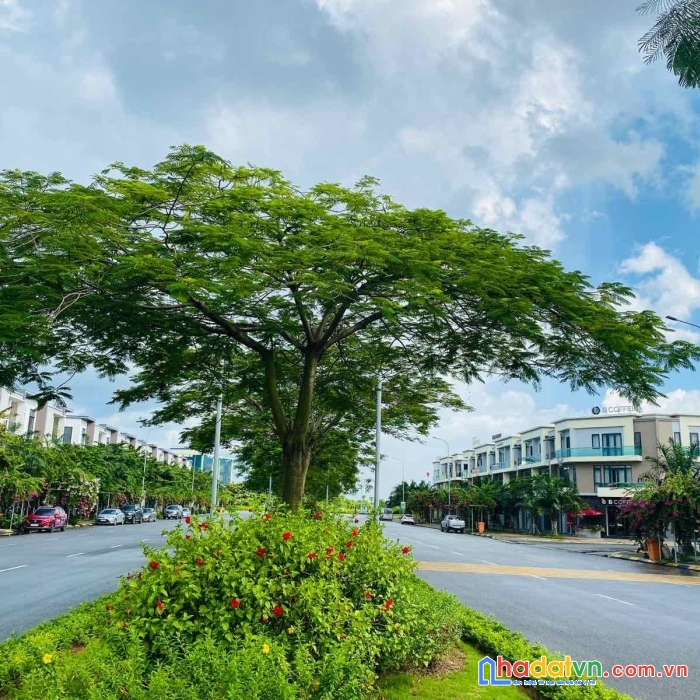 Bán nhanh căn nhà mặt phố 120m centa city giá cực hấp dẫn đã có sổ hông mua được lời ngay hơn tỷ.