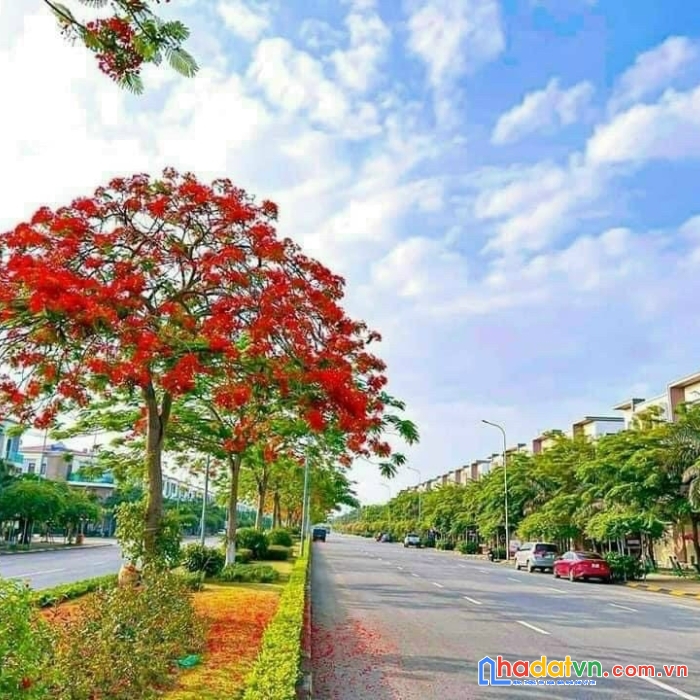 Bán nhanh căn nhà mặt phố 120m centa city giá cực hấp dẫn đã có sổ hông mua được lời ngay hơn tỷ.