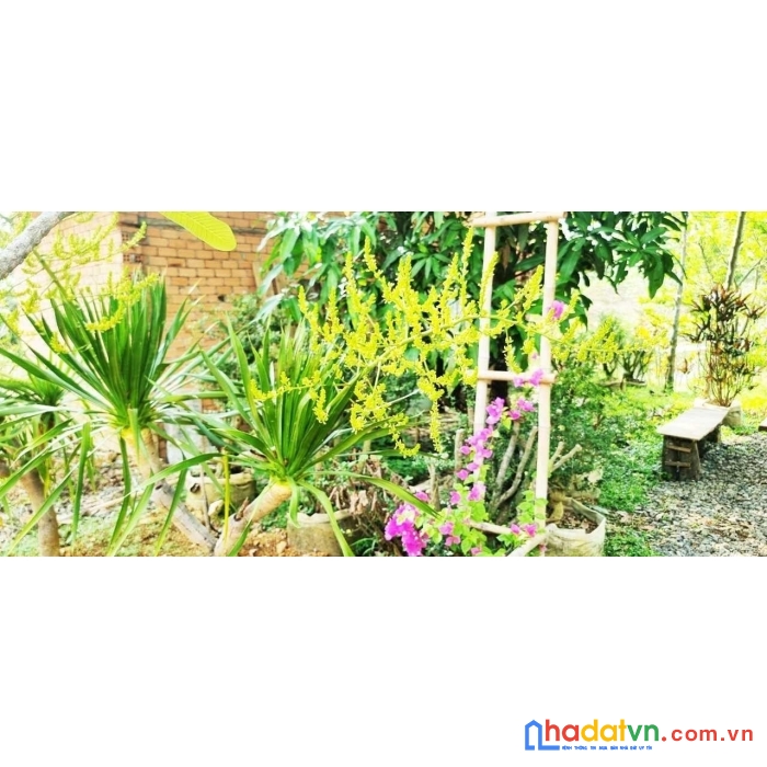 Cần bán một khu vườn xinh đẹp kết hợp view đồi trập trùng đẹp như bảo lộc + view hồ trị an siêu