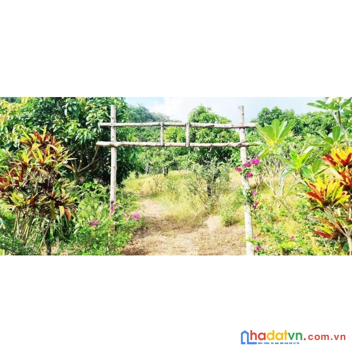 Cần bán một khu vườn xinh đẹp kết hợp view đồi trập trùng đẹp như bảo lộc + view hồ trị an siêu