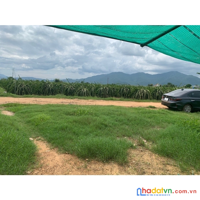 Sở hữu ngay 10711m2 đất chính chủ  thôn xuân điền, xã hàm hiệp, hàm thuận bắc