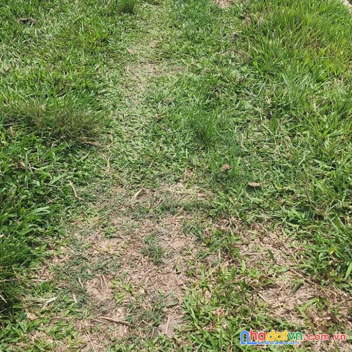 Chính chủ bán đất xã trung lập thượng, huyện củ chi,tphcm