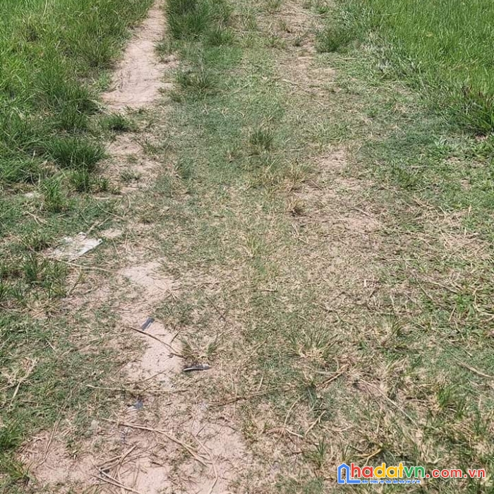 Chính chủ bán đất xã trung lập thượng, huyện củ chi,tphcm