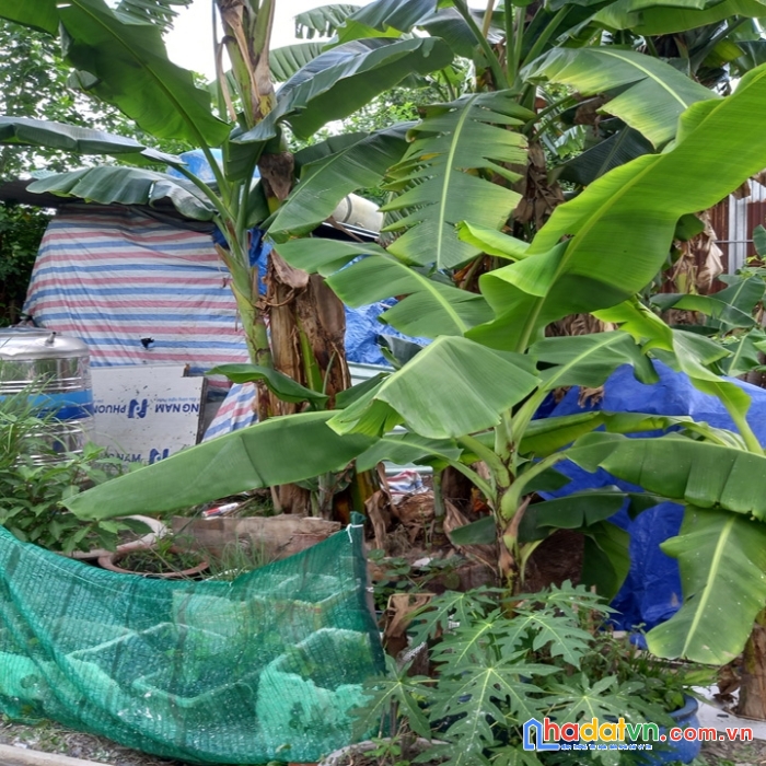 bán 52m2 đất đường 3m x.thới tam thôn huyện hóc môn chỉ 1.4 tỷ