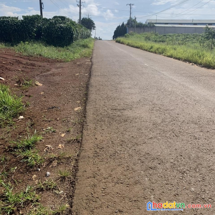 Sở hữu ngay lô đất đẹp vị trí đắc địa tại thôn 10, xã đambri, tp bảo lộc, lâm đồng