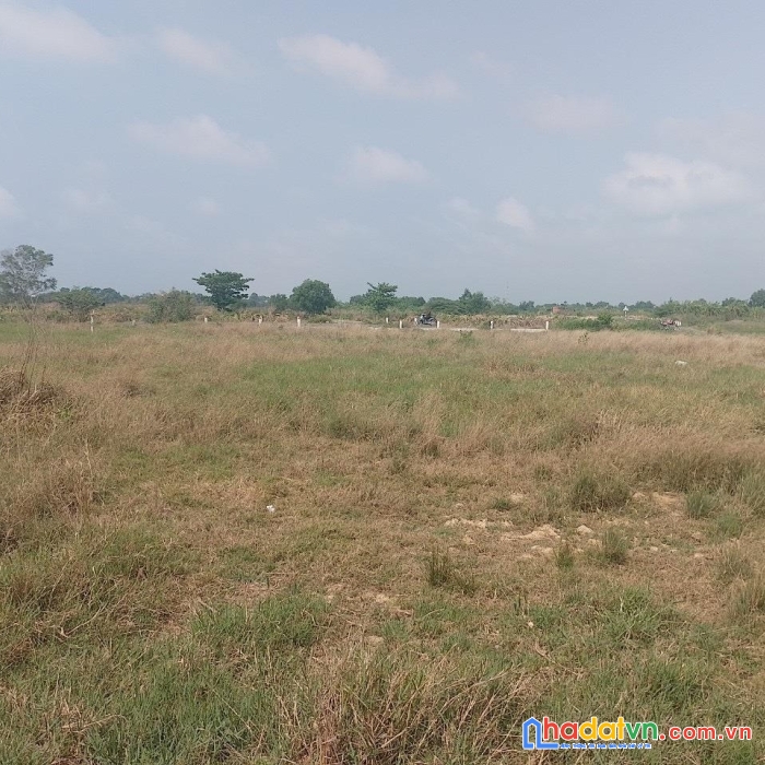 Chính chủ cần bán gấp lô đất lúa mặt tiền đường nhựa phùng hưng, thị xã la gi