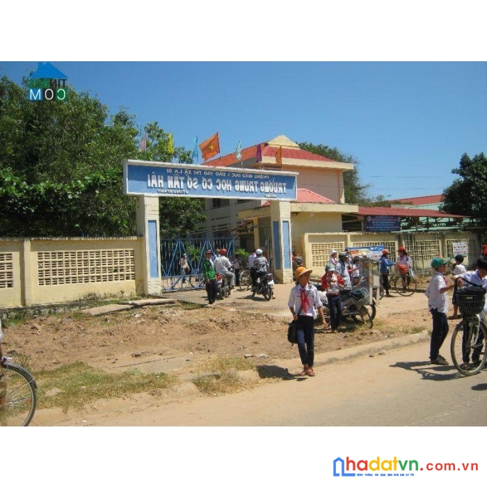 Chính chủ cần bán gấp lô đất lúa mặt tiền đường nhựa phùng hưng, thị xã la gi