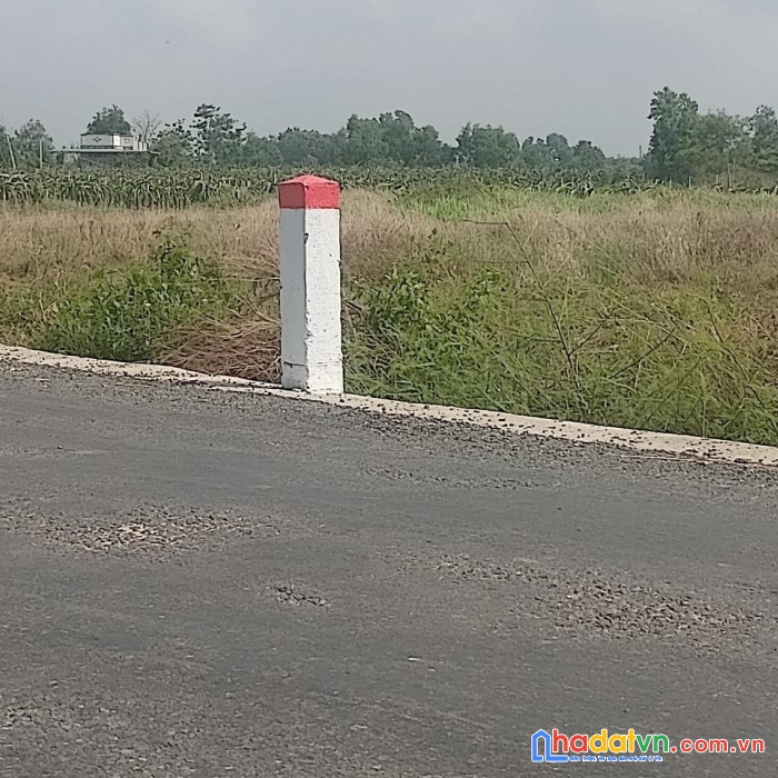 Chính chủ cần bán gấp lô đất lúa mặt tiền đường nhựa phùng hưng, thị xã la gi