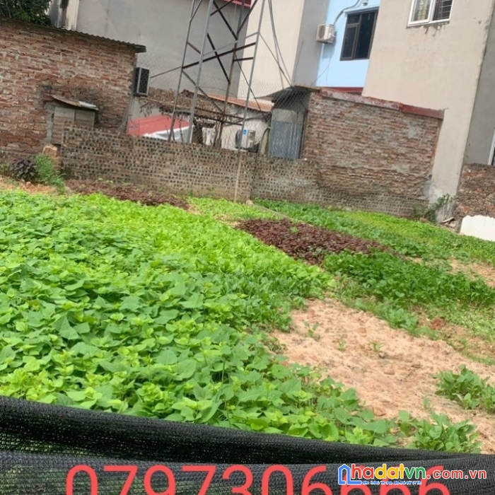 Cc gửi bán lô 45m2 ba chữ vân nội đông anh, ô tô vào đất, chỉ 1,6x tỷ