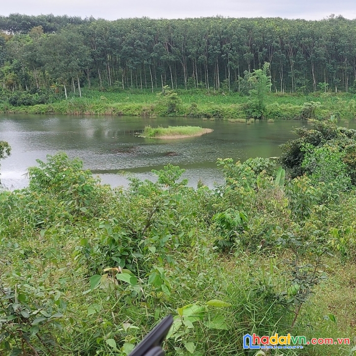 Bán gấp hơn 1000m2  đất ven hồ trung tâm kiens đức,đắk nông giá ngộp