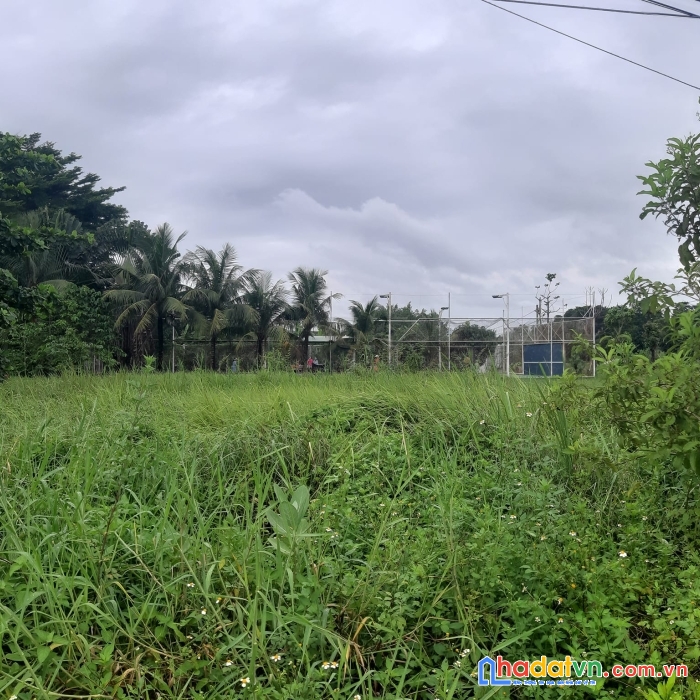 Bán nhà 1/ ngắn đường hà duy phiên củ chi 450m2 chỉ 7 tỷ