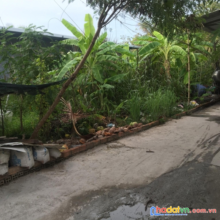 Sở hữu ngay lô đất đẹp tại hẻm số đỏ, cồn khương – giá cực rẻ