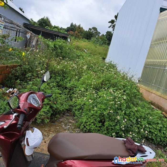 Sở hữu ngay lô đất đẹp vị trí đắc địa tại phường2 , tp bảo lộc, lâm đồng
