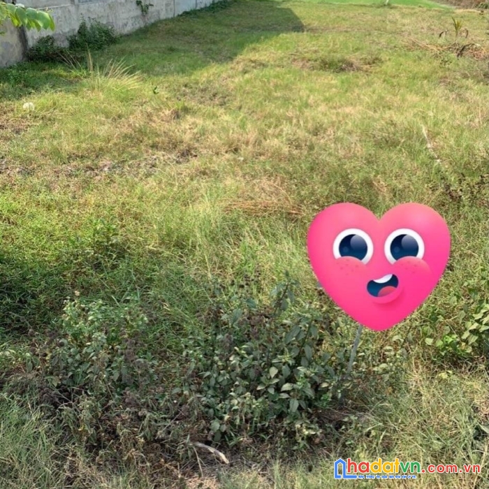 Sở hữu ngay lô đất đẹp vị trí đắc địa tại thị xã trảng bàng, tỉnh tây ninh.