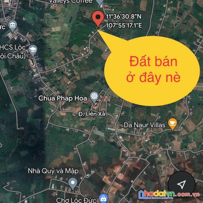 Nhanh tay sở hữu ngay đất bảo lộc chưa đến 450 triệu