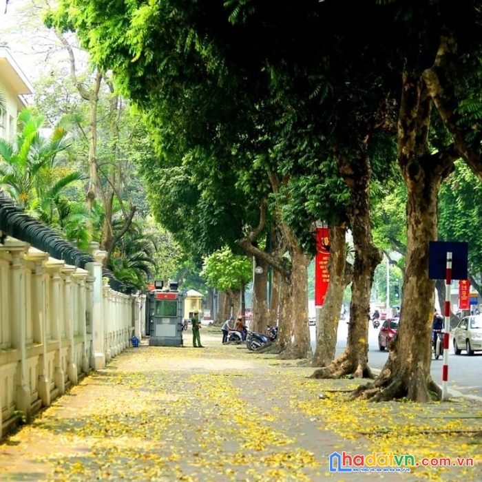 Bán tòa đồ sộ mặt phố trần hưng đạo quận hoàn kiếm, giá thương lượng.