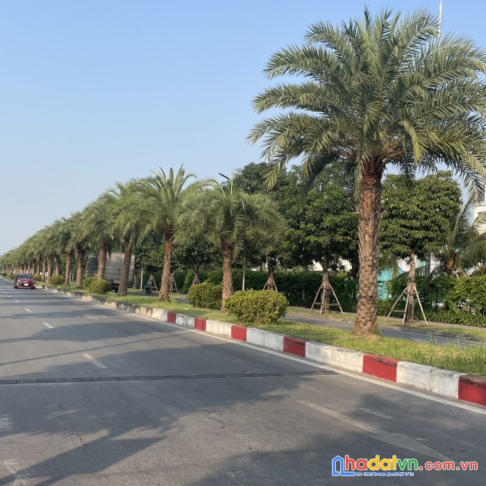 Bán đất mặt phố đào văn tập, view vinhome harmony, 150m, mt10m, 190tr