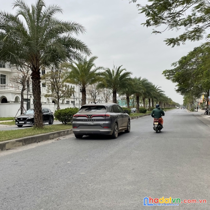 Bán đất mặt phố đào văn tập, view vinhome harmony, 150m, mt10m, 190tr