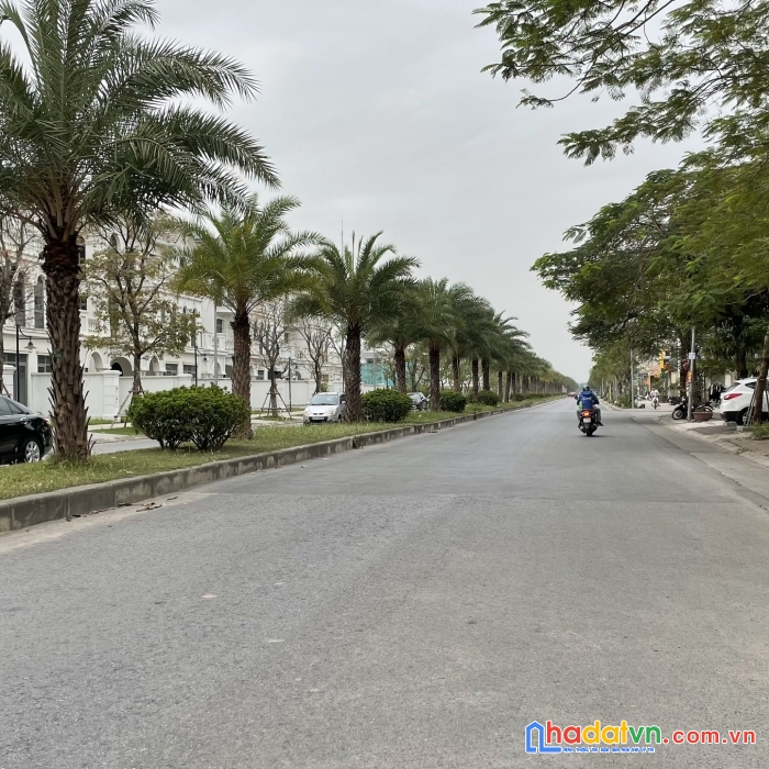 Bán đất mặt phố đào văn tập, view vinhome harmony, 150m, mt10m, 190tr