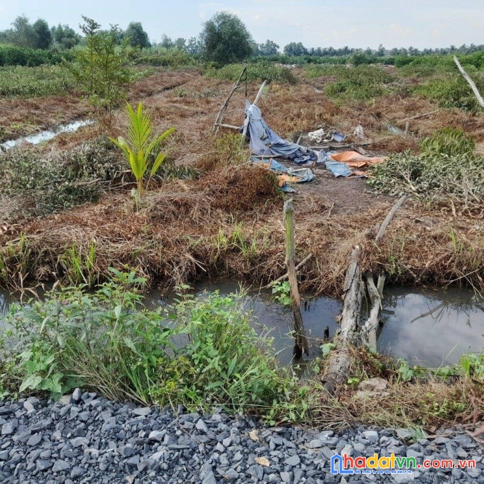 Chính chủ cần bán gấp lô đất vườn tại ấp 6, bình đức, bến lức, long an.