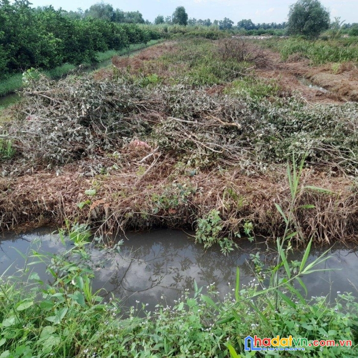 Chính chủ cần bán gấp lô đất vườn tại ấp 6, bình đức, bến lức, long an.