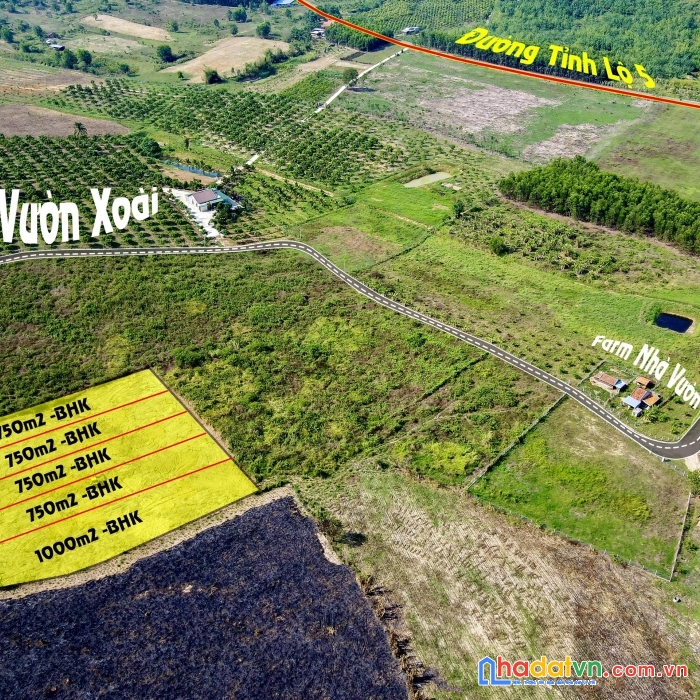 Mở bán 5 lô sổ hồng công chứng ở ninh xuân chỉ 268tr 1 lô