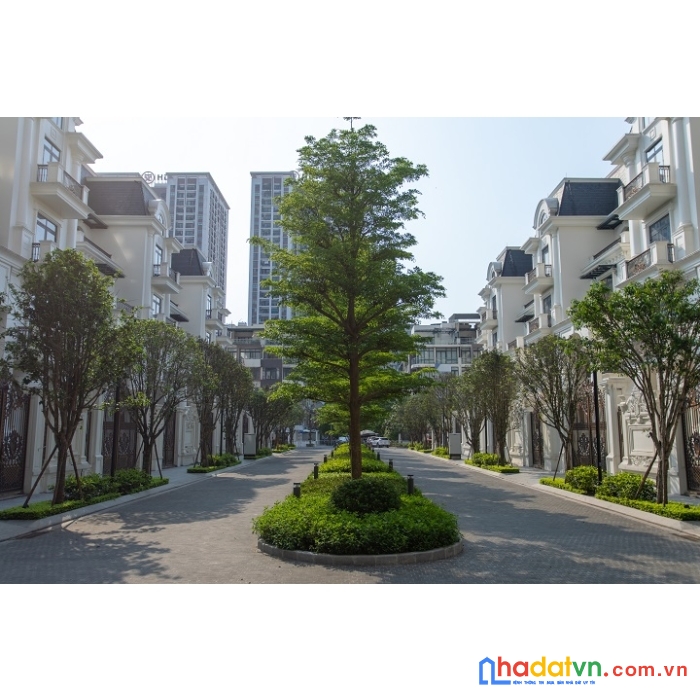 Biệt thự 270m2 lô góc hướng tây nam- đông nam  kđt mỹ đình 2