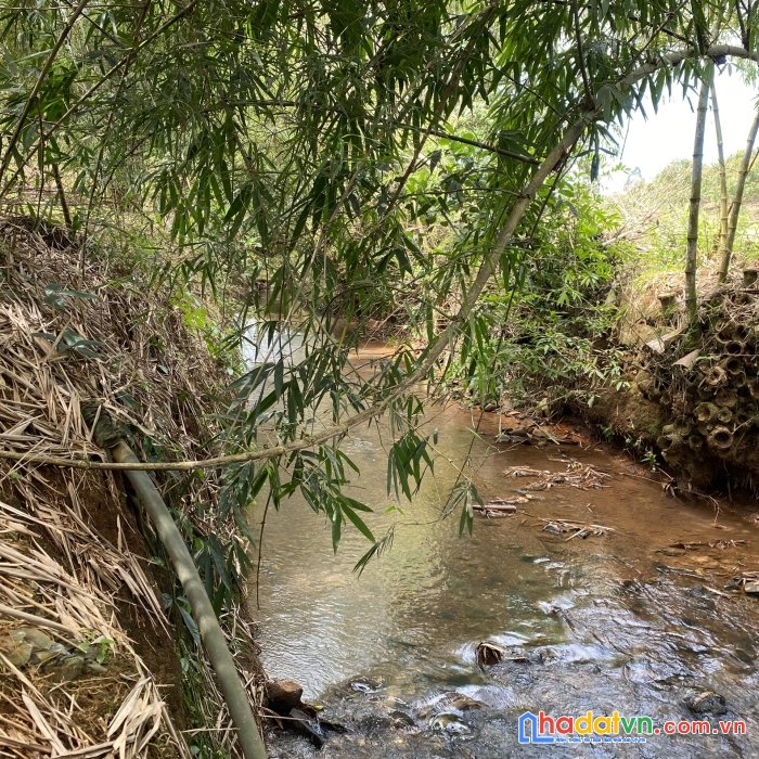 Cần bán đất rẫy điều đất đỏ 1.5ha điện nước, sổ hồng đầy đủ. chính chủ đứng bán