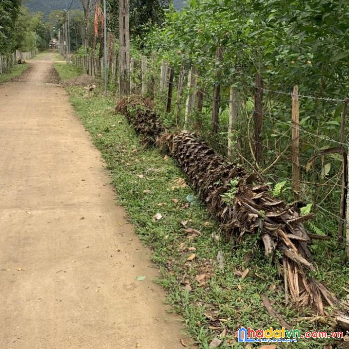 Chính chủ bán nhanh lô đất  mặt tiền xã trung hóa, huyện minh hóa, tỉnh quảng bình