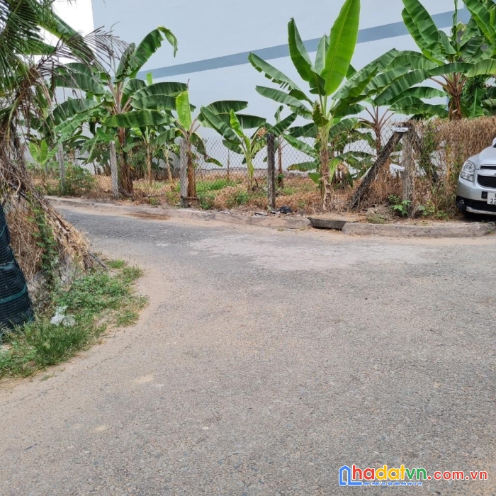 Chính chủ bán nền thổ cư vị trí đẹp tại xã đạo thạnh, mỹ tho, tiền giang