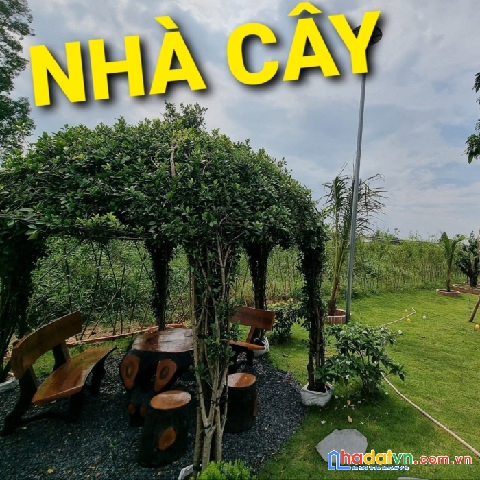 Villa sân vườn 1200m2 ba sa phước thạnh củ chi có 9 tỷ