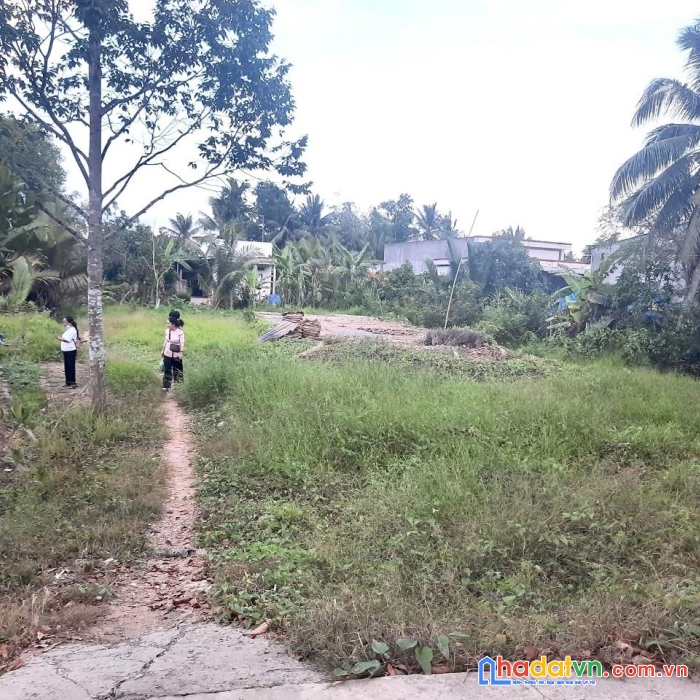 Cần bán gấp  xã đông phước .huyện châu thành. tỉnh hậu giang.tp cần thơ