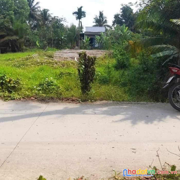 Cần bán gấp  xã đông phước .huyện châu thành. tỉnh hậu giang.tp cần thơ