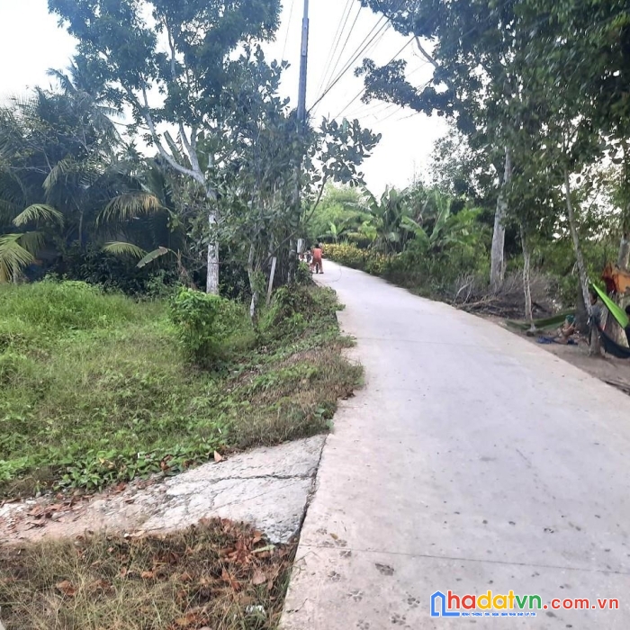 Cần bán gấp  xã đông phước .huyện châu thành. tỉnh hậu giang.tp cần thơ